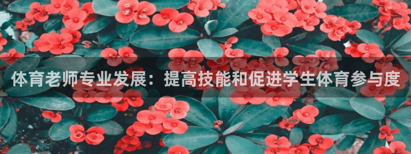 焦点娱乐是拉菲公司的吗：体育老师专业发展：提高技能和