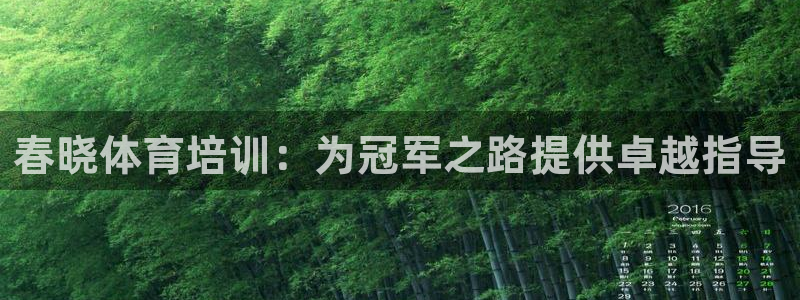 焦点娱乐总代理是谁：春晓体育培训：为冠军之路提供卓越