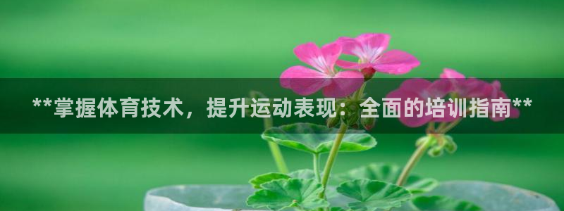 焦点娱乐怎么找导师：**掌握体育技术，提升运动表现：