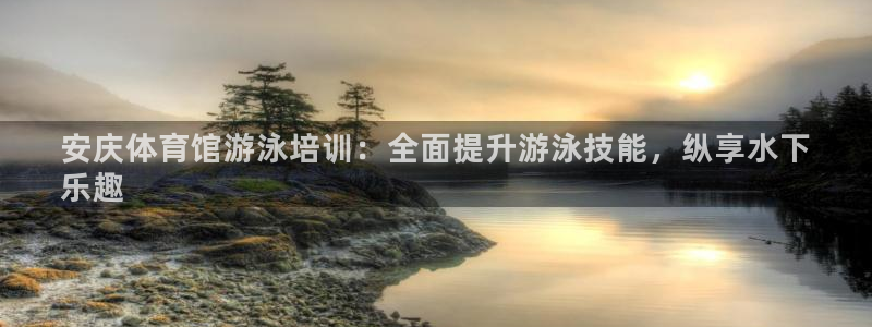 焦点娱乐拉菲11月11日：安庆体育馆游泳培训：全面提