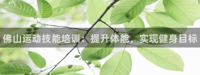 焦点娱乐可以解封银行卡吗：佛山运动技能培训：提升体能